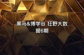 黑马&博学谷 狂野大数据6期