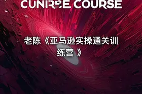 老陈《亚马逊实操通关训练营 》 - getfromcode