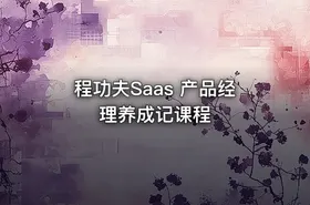 程功夫Saas 产品经理养成记课程