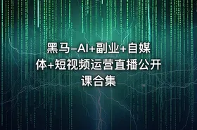 黑马-AI+副业+自媒体+短视频运营直播公开课合集 - getfromcode