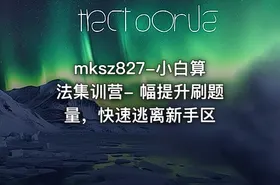 mksz827-小白算法集训营- 幅提升刷题量，快速逃离新手区 - getfromcode