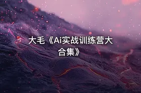 大毛《Ai实战训练营大合集》 - getfromcode