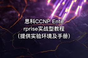 思科CCNP Enterprise实战型教程（提供实验环境及手册） - getfromcode