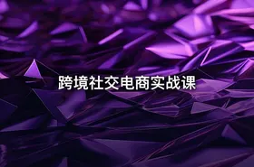 跨境社交电商实战课 - getfromcode