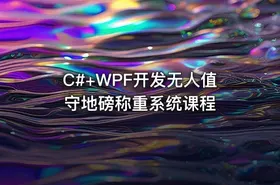C#+WPF开发无人值守地磅称重系统课程