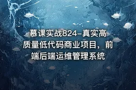 慕课实战824-真实高质量低代码商业项目，前端后端运维管理系统