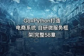 Go+Python打造电商系统 自研微服务框架|完整58章 - getfromcode