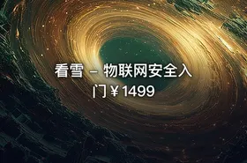 看雪 - 物联网安全入门￥1499