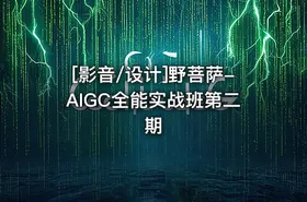 [影音/设计]野菩萨-AIGC全能实战班第二期 - getfromcode