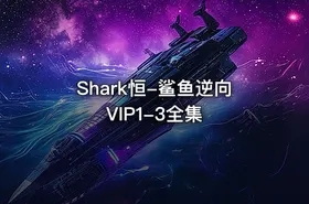 Shark恒-鲨鱼逆向VIP1-3全集 - getfromcode