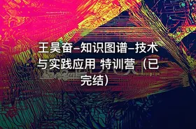 王昊奋-知识图谱-技术与实践应用 特训营（已完结）