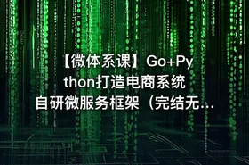 【微体系课】Go+Python打造电商系统 自研微服务框架（完结无密）
