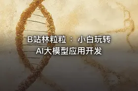 B站林粒粒 ：小白玩转AI大模型应用开发