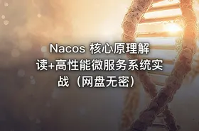 Nacos 核心原理解读+高性能微服务系统实战（网盘无密） - getfromcode