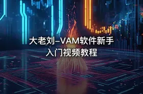 大老刘-VAM软件新手入门视频教程