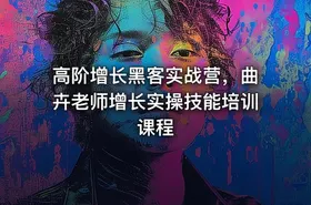 高阶增长黑客实战营，曲卉老师增长实操技能培训课程