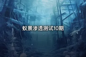 蚁景渗透测试10期