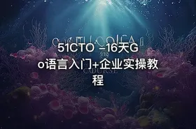 51CTO -16天Go语言入门+企业实操教程