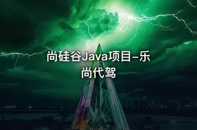 尚硅谷Java项目-乐尚代驾 - getfromcode