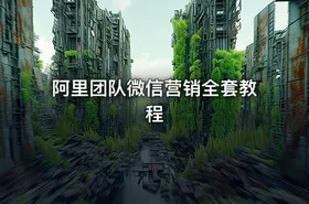 阿里团队微信营销全套教程
