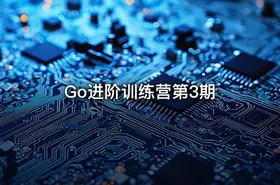 Go进阶训练营第3期