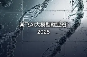 某飞AI大模型就业班|2025