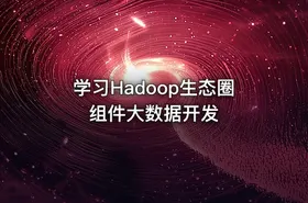 学习Hadoop生态圈组件大数据开发
