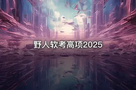 野人软考高项2025 - getfromcode