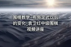 围棋教学-布局定式以后的变化_袁卫红中级围棋视频讲座