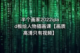 半个画家2022ipad板绘人物插画课【画质高清只有视频】