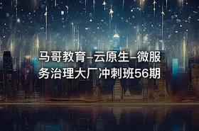 马哥教育-云原生-微服务治理大厂冲刺班56期
