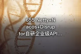 655 Netty+Nacos+Disruptor自研企业级API网关