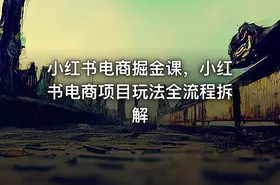 小红书电商掘金课，小红书电商项目玩法全流程拆解