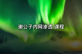 谢公子内网渗透 课程