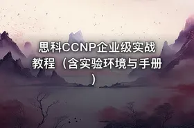 思科CCNP企业级实战教程（含实验环境与手册）