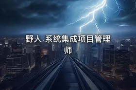 野人 系统集成项目管理师
