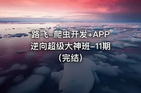 路飞-爬虫开发+APP逆向超级大神班-11期（完结）