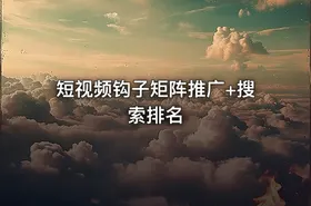 短视频钩子矩阵推广+搜索排名