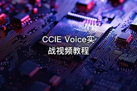 CCIE Voice实战视频教程 - getfromcode