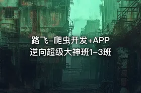 路飞-爬虫开发+APP逆向超级大神班1-3班 - getfromcode