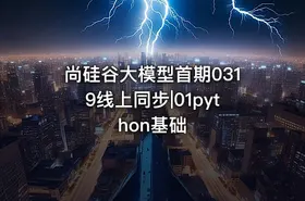 尚硅谷大模型首期0319线上同步|01python基础 - getfromcode