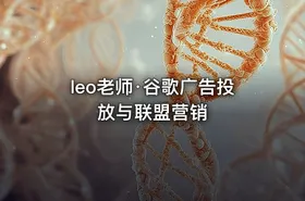 leo老师·谷歌广告投放与联盟营销