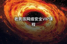 老男孩网络安全VIP课程