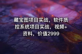 藏宝图项目实战，软件质控系统项目实战，视频+资料，价值2999