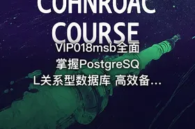 VIP018msb全面掌握PostgreSQL关系型数据库 高效备份恢复事务管理视频教程