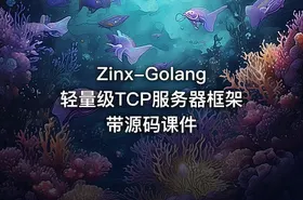 Zinx-Golang轻量级TCP服务器框架 带源码课件