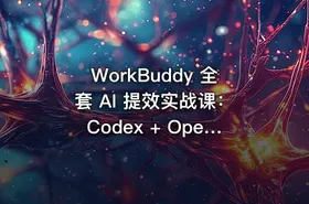 WorkBuddy 全套 AI 提效实战课：Codex + OpenClaw 自定义 Skill 全教程【1.2GB】