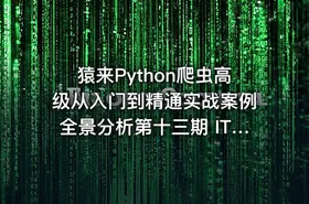 猿来Python爬虫高级从入门到精通实战案例全景分析第十三期 IT教程吧