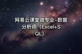 网易云课堂微专业-数据分析师（Excel+SQL）