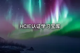 HCIE认证学习宝库 - getfromcode